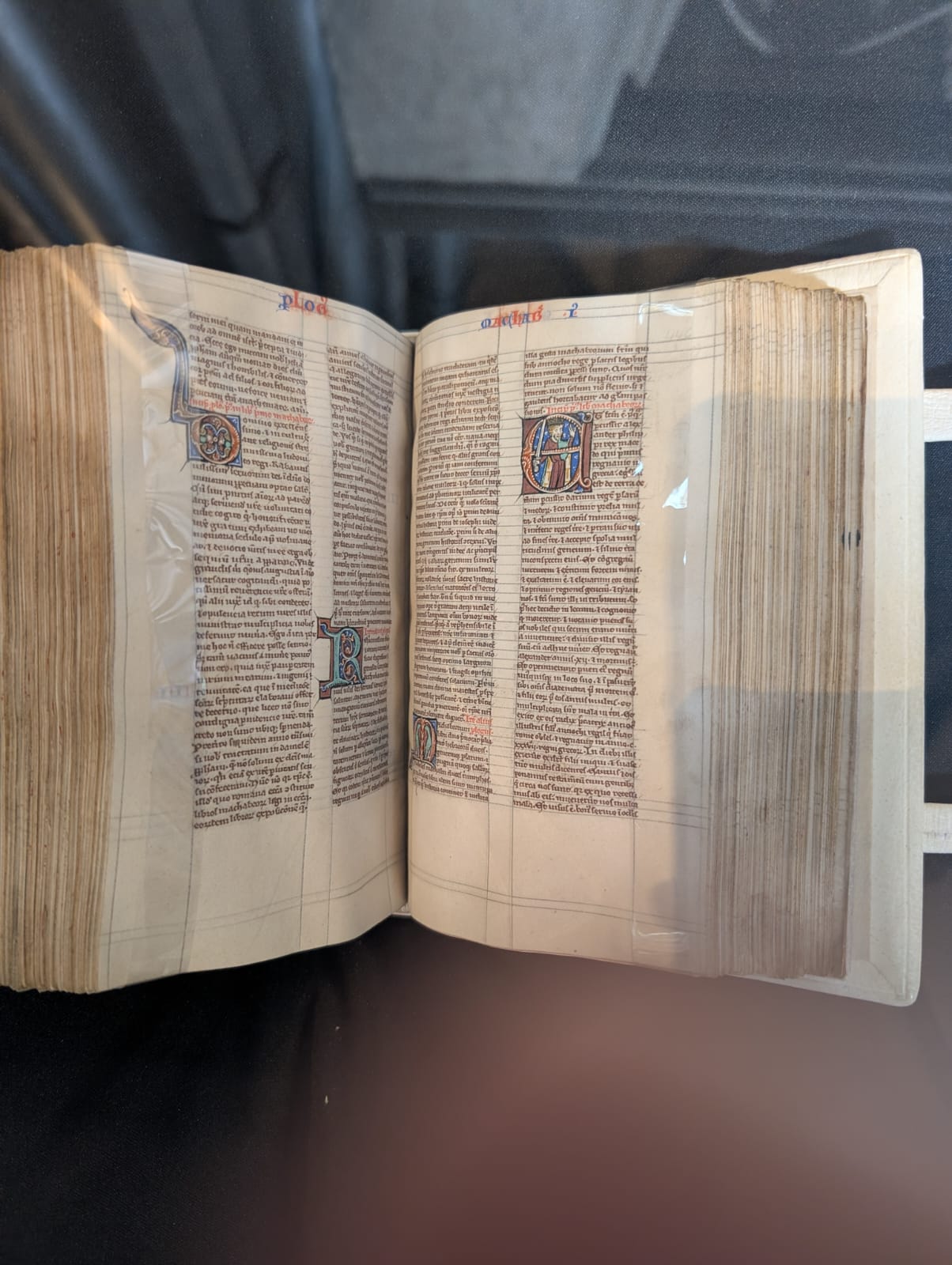 Magna Carta, Salisbury